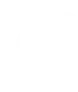 icon-escudo-home